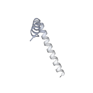 42439_8uox_AS_v1-1
Cryo-EM structure of a Counterclockwise locked form of the Salmonella enterica Typhimurium flagellar C-ring, with C34 symmetry applied