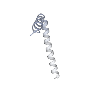 42439_8uox_AT_v1-0
Cryo-EM structure of a Counterclockwise locked form of the Salmonella enterica Typhimurium flagellar C-ring, with C34 symmetry applied