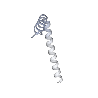 42439_8uox_AT_v1-1
Cryo-EM structure of a Counterclockwise locked form of the Salmonella enterica Typhimurium flagellar C-ring, with C34 symmetry applied