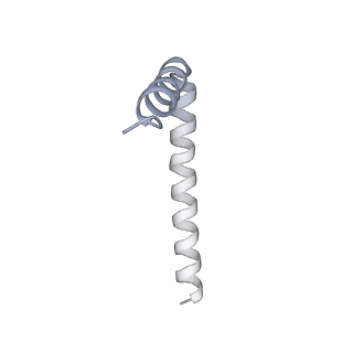 42439_8uox_AU_v1-1
Cryo-EM structure of a Counterclockwise locked form of the Salmonella enterica Typhimurium flagellar C-ring, with C34 symmetry applied