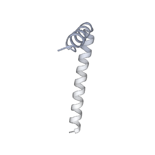 42439_8uox_AV_v1-1
Cryo-EM structure of a Counterclockwise locked form of the Salmonella enterica Typhimurium flagellar C-ring, with C34 symmetry applied