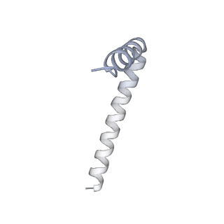 42439_8uox_AW_v1-1
Cryo-EM structure of a Counterclockwise locked form of the Salmonella enterica Typhimurium flagellar C-ring, with C34 symmetry applied