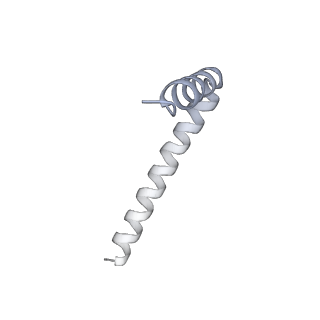 42439_8uox_AX_v1-1
Cryo-EM structure of a Counterclockwise locked form of the Salmonella enterica Typhimurium flagellar C-ring, with C34 symmetry applied