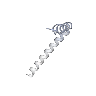 42439_8uox_AY_v1-1
Cryo-EM structure of a Counterclockwise locked form of the Salmonella enterica Typhimurium flagellar C-ring, with C34 symmetry applied