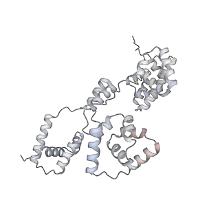 42439_8uox_B1_v1-0
Cryo-EM structure of a Counterclockwise locked form of the Salmonella enterica Typhimurium flagellar C-ring, with C34 symmetry applied