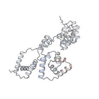 42439_8uox_B1_v1-1
Cryo-EM structure of a Counterclockwise locked form of the Salmonella enterica Typhimurium flagellar C-ring, with C34 symmetry applied