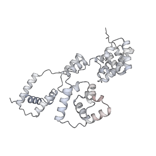 42439_8uox_B2_v1-0
Cryo-EM structure of a Counterclockwise locked form of the Salmonella enterica Typhimurium flagellar C-ring, with C34 symmetry applied