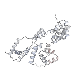 42439_8uox_B2_v1-1
Cryo-EM structure of a Counterclockwise locked form of the Salmonella enterica Typhimurium flagellar C-ring, with C34 symmetry applied