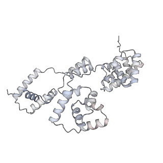 42439_8uox_B3_v1-0
Cryo-EM structure of a Counterclockwise locked form of the Salmonella enterica Typhimurium flagellar C-ring, with C34 symmetry applied