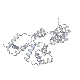 42439_8uox_B3_v1-1
Cryo-EM structure of a Counterclockwise locked form of the Salmonella enterica Typhimurium flagellar C-ring, with C34 symmetry applied