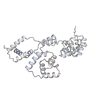 42439_8uox_B4_v1-0
Cryo-EM structure of a Counterclockwise locked form of the Salmonella enterica Typhimurium flagellar C-ring, with C34 symmetry applied