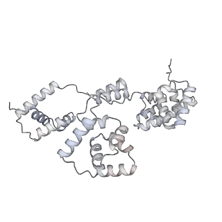 42439_8uox_B4_v1-1
Cryo-EM structure of a Counterclockwise locked form of the Salmonella enterica Typhimurium flagellar C-ring, with C34 symmetry applied