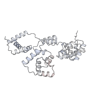 42439_8uox_B5_v1-0
Cryo-EM structure of a Counterclockwise locked form of the Salmonella enterica Typhimurium flagellar C-ring, with C34 symmetry applied