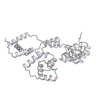 42439_8uox_B5_v1-1
Cryo-EM structure of a Counterclockwise locked form of the Salmonella enterica Typhimurium flagellar C-ring, with C34 symmetry applied