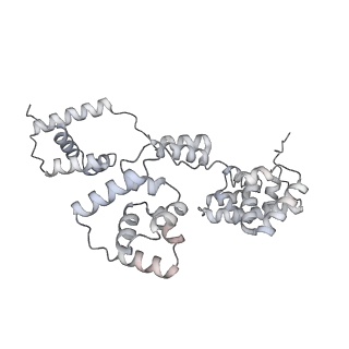 42439_8uox_B6_v1-0
Cryo-EM structure of a Counterclockwise locked form of the Salmonella enterica Typhimurium flagellar C-ring, with C34 symmetry applied