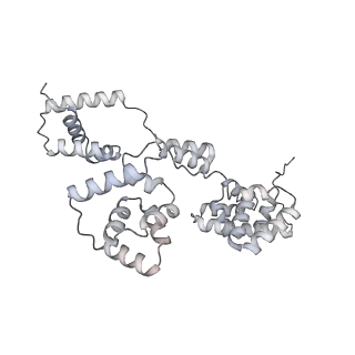 42439_8uox_B7_v1-0
Cryo-EM structure of a Counterclockwise locked form of the Salmonella enterica Typhimurium flagellar C-ring, with C34 symmetry applied