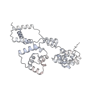 42439_8uox_B7_v1-1
Cryo-EM structure of a Counterclockwise locked form of the Salmonella enterica Typhimurium flagellar C-ring, with C34 symmetry applied