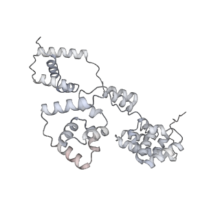 42439_8uox_B8_v1-0
Cryo-EM structure of a Counterclockwise locked form of the Salmonella enterica Typhimurium flagellar C-ring, with C34 symmetry applied