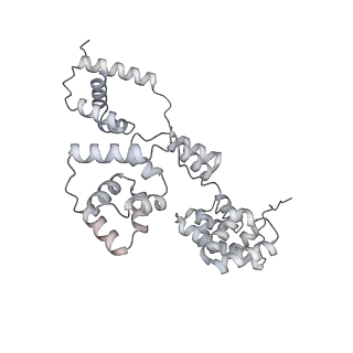 42439_8uox_B9_v1-0
Cryo-EM structure of a Counterclockwise locked form of the Salmonella enterica Typhimurium flagellar C-ring, with C34 symmetry applied