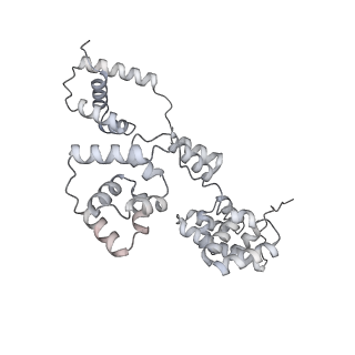 42439_8uox_B9_v1-1
Cryo-EM structure of a Counterclockwise locked form of the Salmonella enterica Typhimurium flagellar C-ring, with C34 symmetry applied