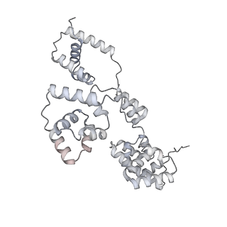 42439_8uox_BA_v1-0
Cryo-EM structure of a Counterclockwise locked form of the Salmonella enterica Typhimurium flagellar C-ring, with C34 symmetry applied
