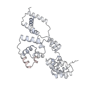 42439_8uox_BA_v1-1
Cryo-EM structure of a Counterclockwise locked form of the Salmonella enterica Typhimurium flagellar C-ring, with C34 symmetry applied