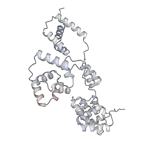 42439_8uox_BB_v1-0
Cryo-EM structure of a Counterclockwise locked form of the Salmonella enterica Typhimurium flagellar C-ring, with C34 symmetry applied