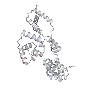 42439_8uox_BB_v1-1
Cryo-EM structure of a Counterclockwise locked form of the Salmonella enterica Typhimurium flagellar C-ring, with C34 symmetry applied