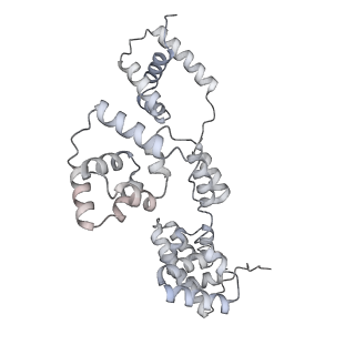 42439_8uox_BC_v1-0
Cryo-EM structure of a Counterclockwise locked form of the Salmonella enterica Typhimurium flagellar C-ring, with C34 symmetry applied