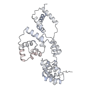 42439_8uox_BC_v1-1
Cryo-EM structure of a Counterclockwise locked form of the Salmonella enterica Typhimurium flagellar C-ring, with C34 symmetry applied