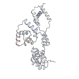 42439_8uox_BD_v1-0
Cryo-EM structure of a Counterclockwise locked form of the Salmonella enterica Typhimurium flagellar C-ring, with C34 symmetry applied