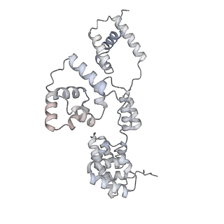 42439_8uox_BD_v1-1
Cryo-EM structure of a Counterclockwise locked form of the Salmonella enterica Typhimurium flagellar C-ring, with C34 symmetry applied