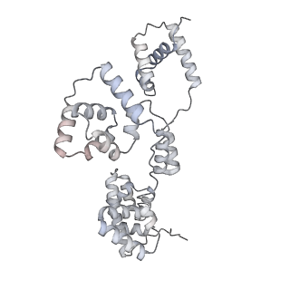 42439_8uox_BE_v1-0
Cryo-EM structure of a Counterclockwise locked form of the Salmonella enterica Typhimurium flagellar C-ring, with C34 symmetry applied