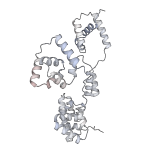 42439_8uox_BE_v1-1
Cryo-EM structure of a Counterclockwise locked form of the Salmonella enterica Typhimurium flagellar C-ring, with C34 symmetry applied