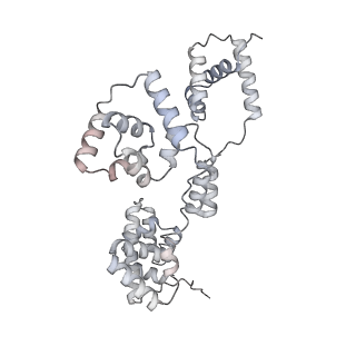 42439_8uox_BF_v1-0
Cryo-EM structure of a Counterclockwise locked form of the Salmonella enterica Typhimurium flagellar C-ring, with C34 symmetry applied