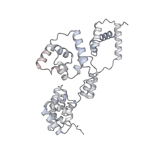 42439_8uox_BG_v1-0
Cryo-EM structure of a Counterclockwise locked form of the Salmonella enterica Typhimurium flagellar C-ring, with C34 symmetry applied