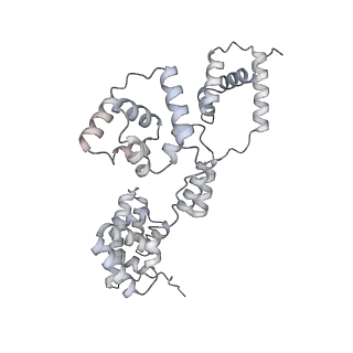 42439_8uox_BG_v1-1
Cryo-EM structure of a Counterclockwise locked form of the Salmonella enterica Typhimurium flagellar C-ring, with C34 symmetry applied