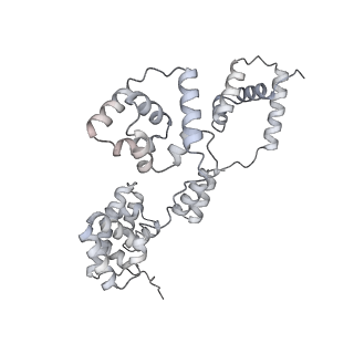 42439_8uox_BH_v1-0
Cryo-EM structure of a Counterclockwise locked form of the Salmonella enterica Typhimurium flagellar C-ring, with C34 symmetry applied