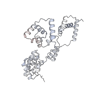 42439_8uox_BH_v1-1
Cryo-EM structure of a Counterclockwise locked form of the Salmonella enterica Typhimurium flagellar C-ring, with C34 symmetry applied