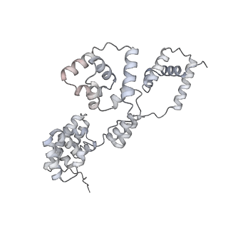 42439_8uox_BI_v1-0
Cryo-EM structure of a Counterclockwise locked form of the Salmonella enterica Typhimurium flagellar C-ring, with C34 symmetry applied