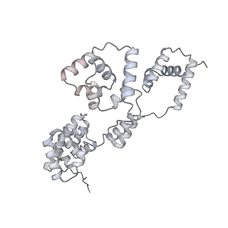 42439_8uox_BI_v1-1
Cryo-EM structure of a Counterclockwise locked form of the Salmonella enterica Typhimurium flagellar C-ring, with C34 symmetry applied