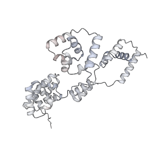 42439_8uox_BJ_v1-0
Cryo-EM structure of a Counterclockwise locked form of the Salmonella enterica Typhimurium flagellar C-ring, with C34 symmetry applied