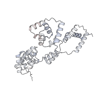 42439_8uox_BJ_v1-1
Cryo-EM structure of a Counterclockwise locked form of the Salmonella enterica Typhimurium flagellar C-ring, with C34 symmetry applied