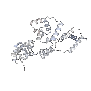 42439_8uox_BK_v1-0
Cryo-EM structure of a Counterclockwise locked form of the Salmonella enterica Typhimurium flagellar C-ring, with C34 symmetry applied