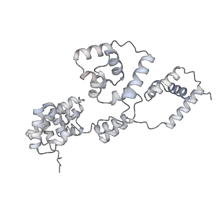 42439_8uox_BK_v1-1
Cryo-EM structure of a Counterclockwise locked form of the Salmonella enterica Typhimurium flagellar C-ring, with C34 symmetry applied