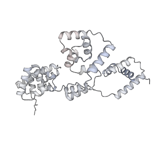 42439_8uox_BL_v1-0
Cryo-EM structure of a Counterclockwise locked form of the Salmonella enterica Typhimurium flagellar C-ring, with C34 symmetry applied
