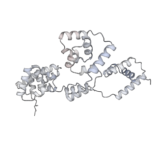 42439_8uox_BL_v1-1
Cryo-EM structure of a Counterclockwise locked form of the Salmonella enterica Typhimurium flagellar C-ring, with C34 symmetry applied