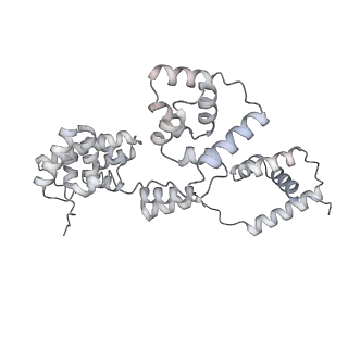 42439_8uox_BM_v1-0
Cryo-EM structure of a Counterclockwise locked form of the Salmonella enterica Typhimurium flagellar C-ring, with C34 symmetry applied