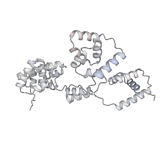 42439_8uox_BM_v1-1
Cryo-EM structure of a Counterclockwise locked form of the Salmonella enterica Typhimurium flagellar C-ring, with C34 symmetry applied