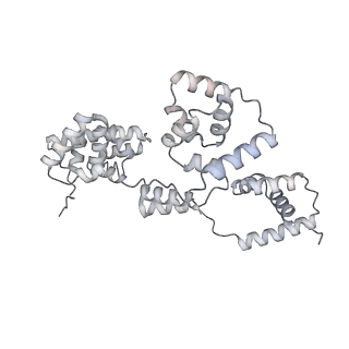 42439_8uox_BN_v1-0
Cryo-EM structure of a Counterclockwise locked form of the Salmonella enterica Typhimurium flagellar C-ring, with C34 symmetry applied